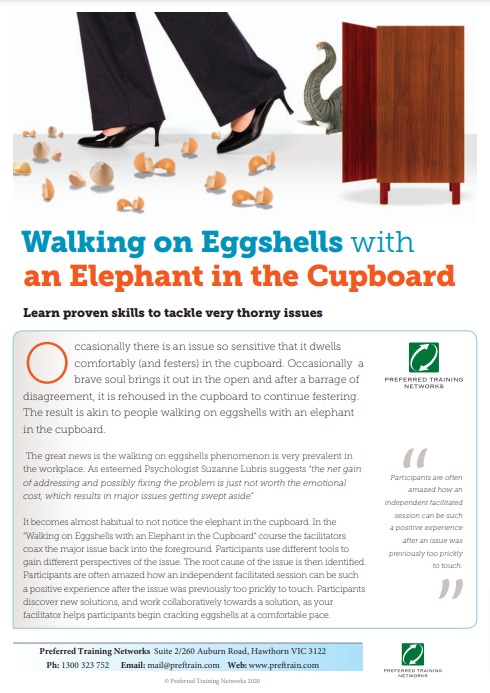 Walking on Eggshells with an Elephant in the Cupboard