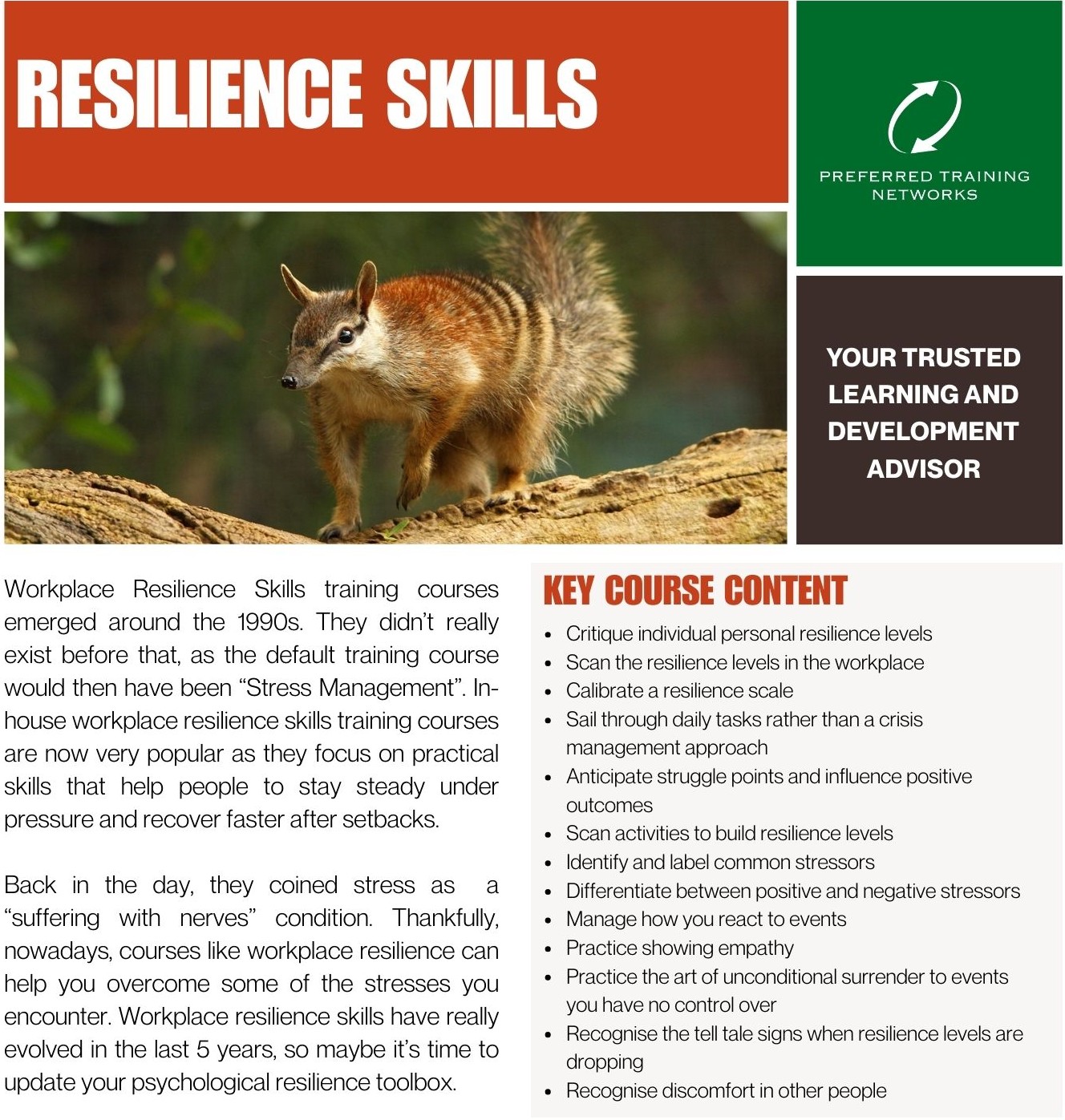 Resilience Skills Training